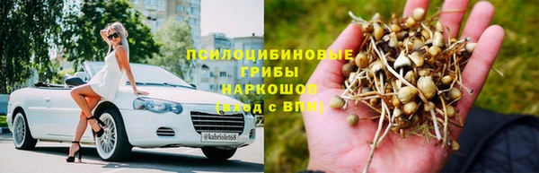 трава Иннополис